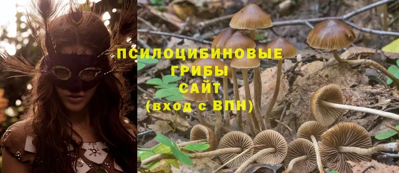 Галлюциногенные грибы MAGIC MUSHROOMS  цена   Сыктывкар 